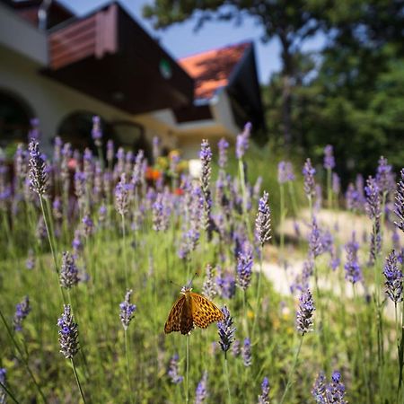 Zseri Vadaszhaz Fehérvárcsurgó Exterior foto